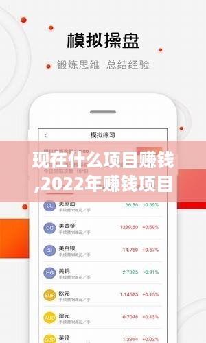 现在什么项目赚钱,2022年赚钱项目排行榜