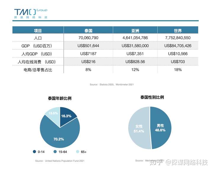 互联网项目调查报告，探索行业发展趋势与创新模式