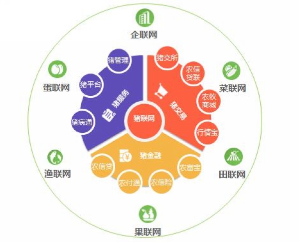 互联网项目大整合，构建高效、便捷的互联网生态系统