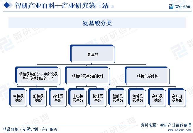 西安互联网代理项目全面解析，市场前景、发展趋势与合作模式