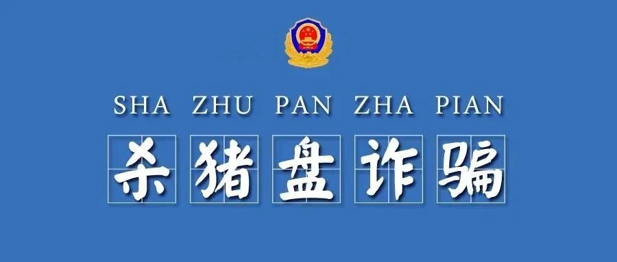 互联网小项目骗局案例深度剖析，警惕新型网络诈骗的陷阱