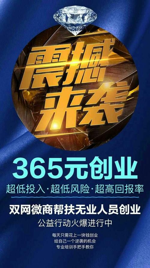 涛哥互联网创业项目，从0到1的创业之路