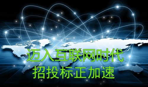 互联网投标接项目，高效、便捷、透明的项目承接方式