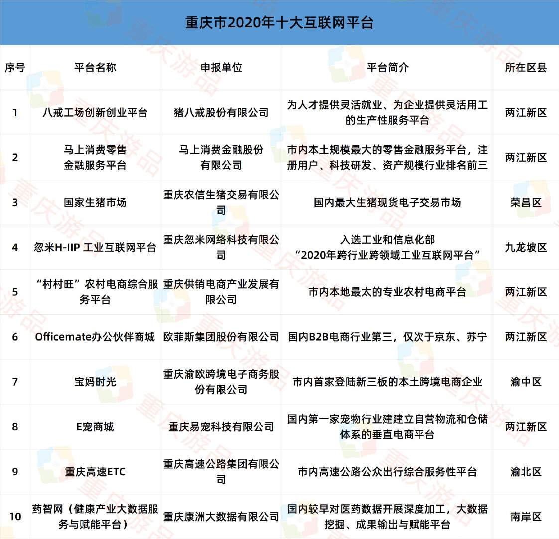 重庆互联网项目名单