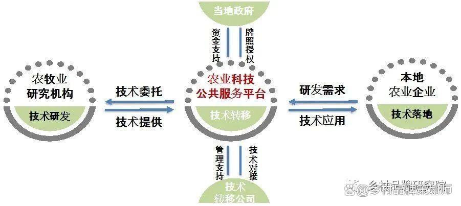 互联网农村养殖项目，创新与发展