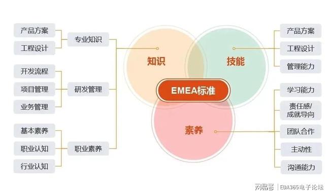 网易互联网项目的发展