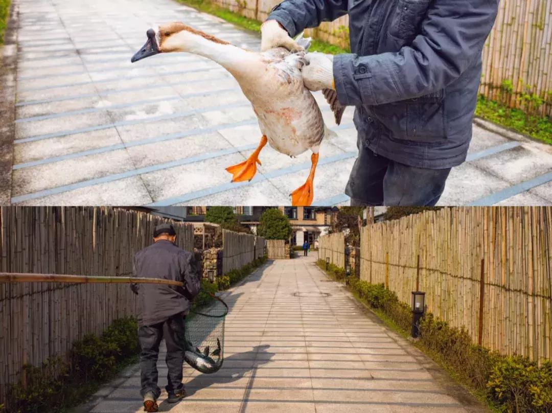 杭州互联网公司团建项目