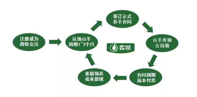 互联网项目怎么养号