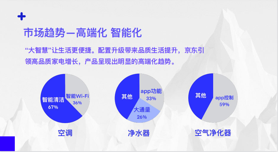 国家严查互联网项目，背景、原因、影响与未来