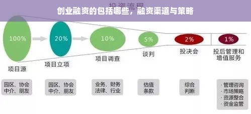 互联网创业项目融资，策略、技巧与实践