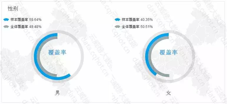 互联网项目分析报告