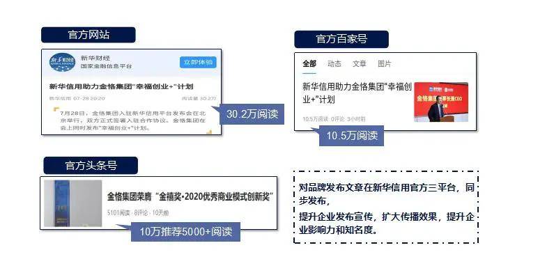 互联网品牌建设项目