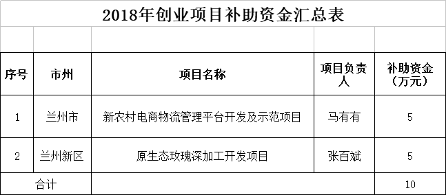 甘肃互联网扶持项目名单