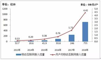 互联网上流量项目