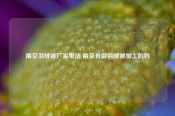 南京羽绒被厂家电话 南京有做羽绒被加工的吗